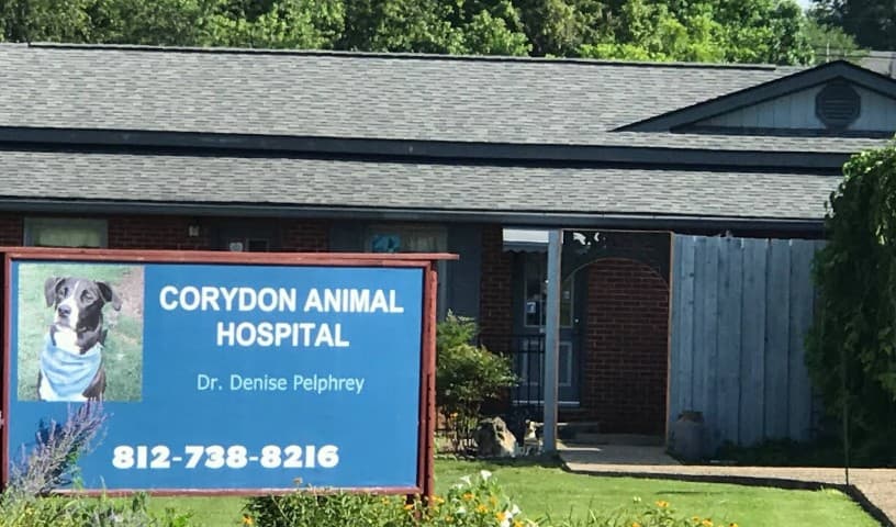 Corydon Animal Hospital