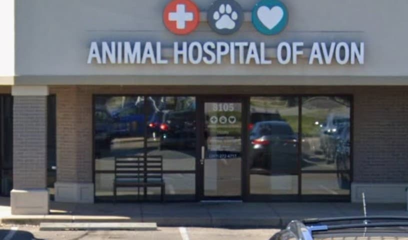 Animal Hospital of Avon