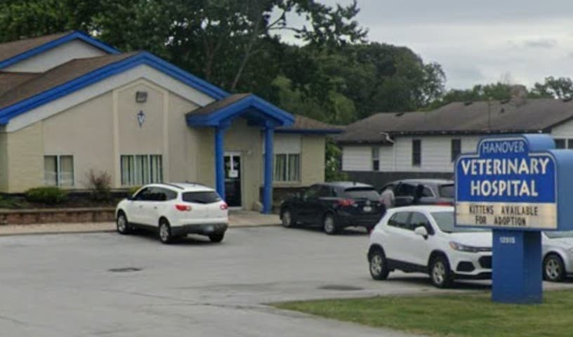 Hanover Veterinary Hospital
