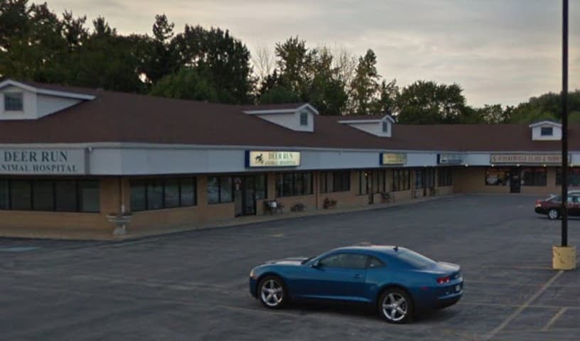 Chicagoland Veterinary Behavior Consultants