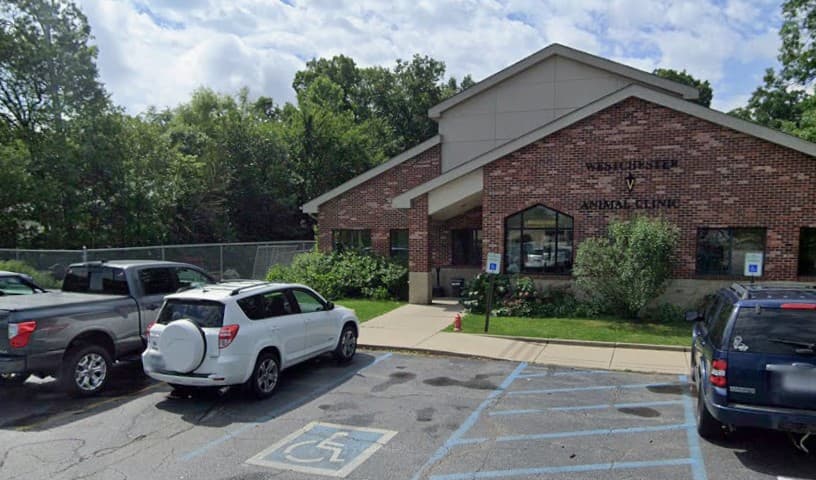 Westchester Animal Clinic
