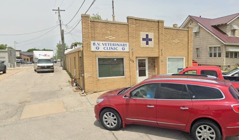B V Vet