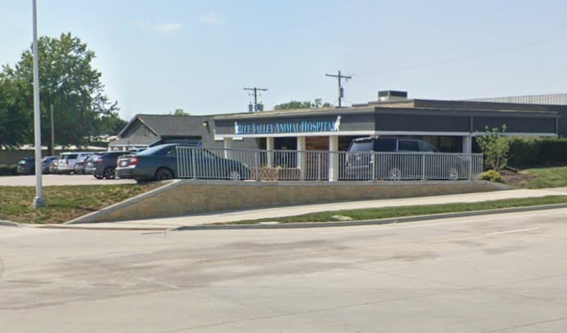 Blue Valley Animal Hospital