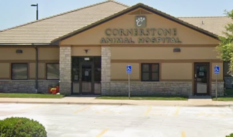 Cornerstone Animal Hospital