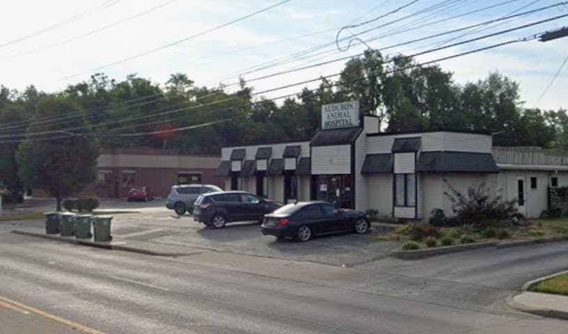 Audubon Animal Hospital