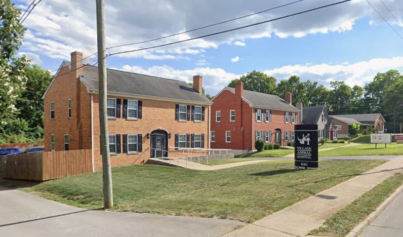 Village Animal Hospital