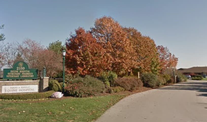 Rood & Riddle Equine Hospital