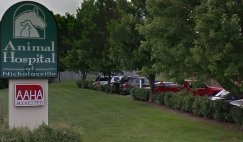 Animal Hospital of Nicholasville