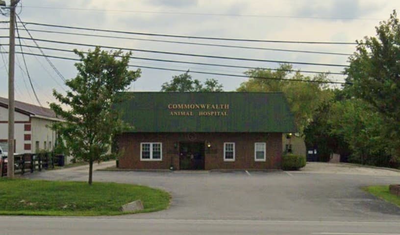 Commonwealth Animal Hospital