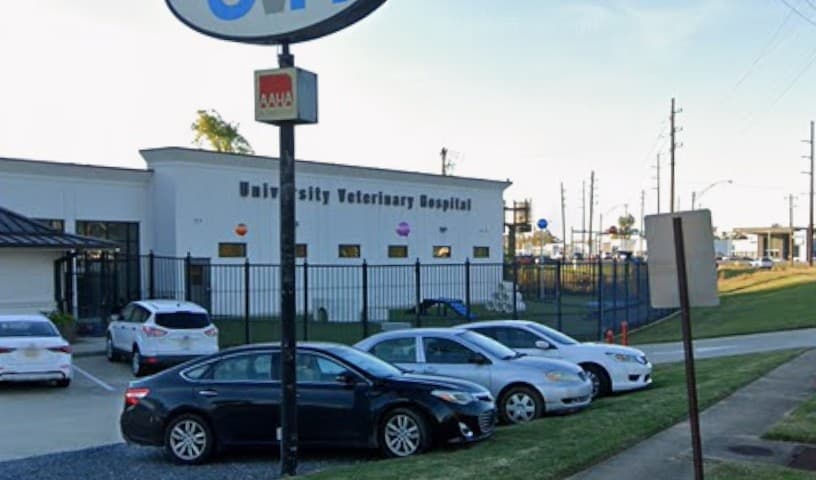 University Veterinary Hospital