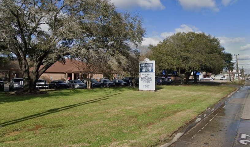 Comite Drive Animal Hospital