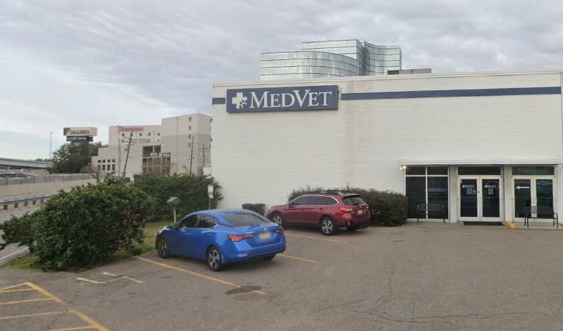 MedVet New Orleans