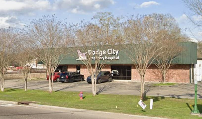 Dodge City Veterinary Hospital, A Thrive Pet Healthcare Partner