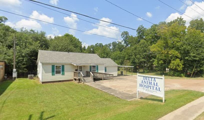 Delta Animal Hospital