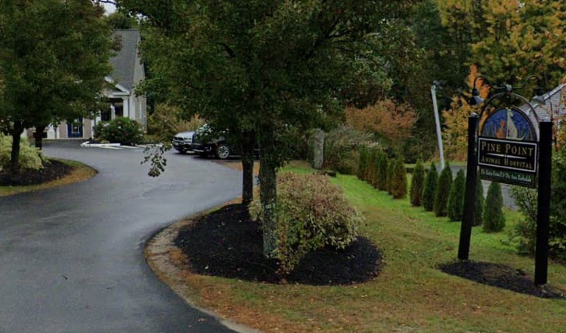 Pine Point Animal Hospital