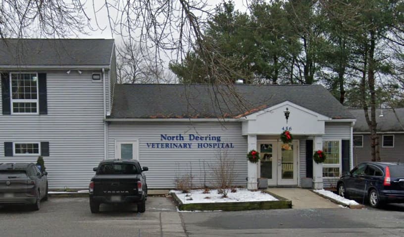 North Deering Veterinary Hospital