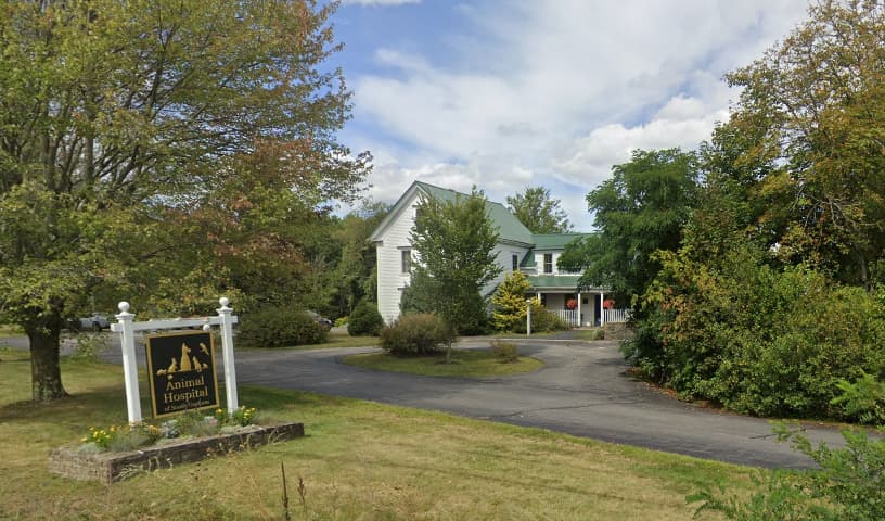 Animal Hospital of South Gorham
