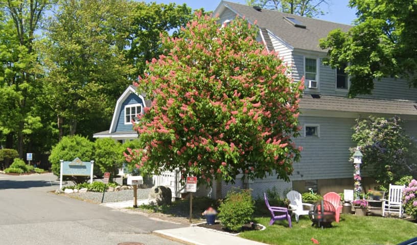 Acadia Veterinary Hospital