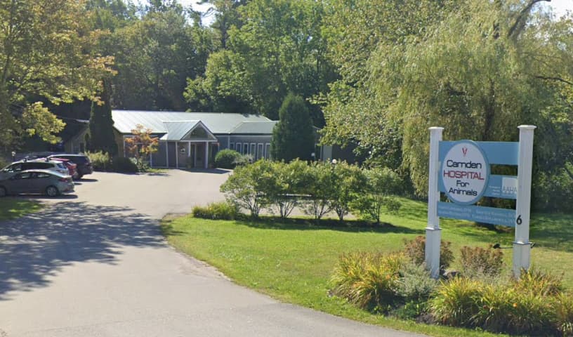 Camden Hospital For Animals