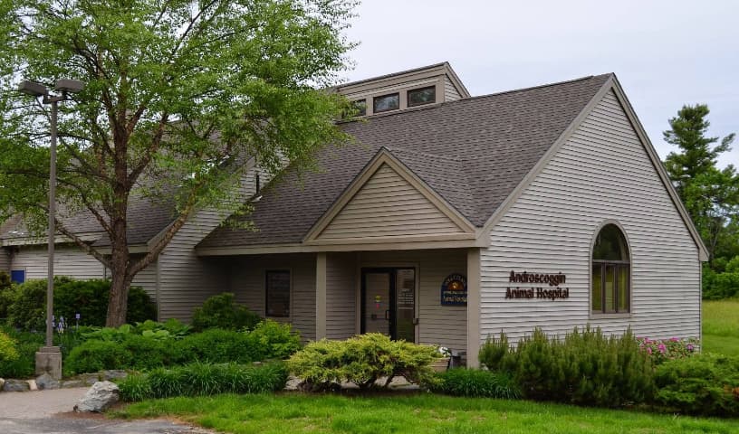 Androscoggin Animal Hospital
