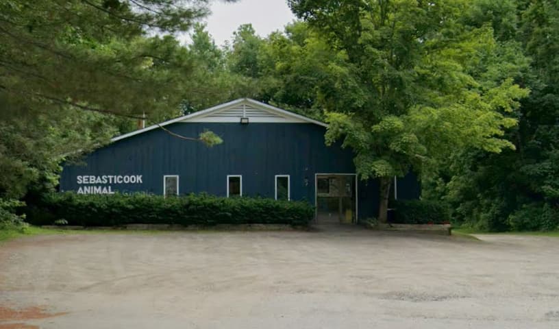 Sebasticook Animal Clinic