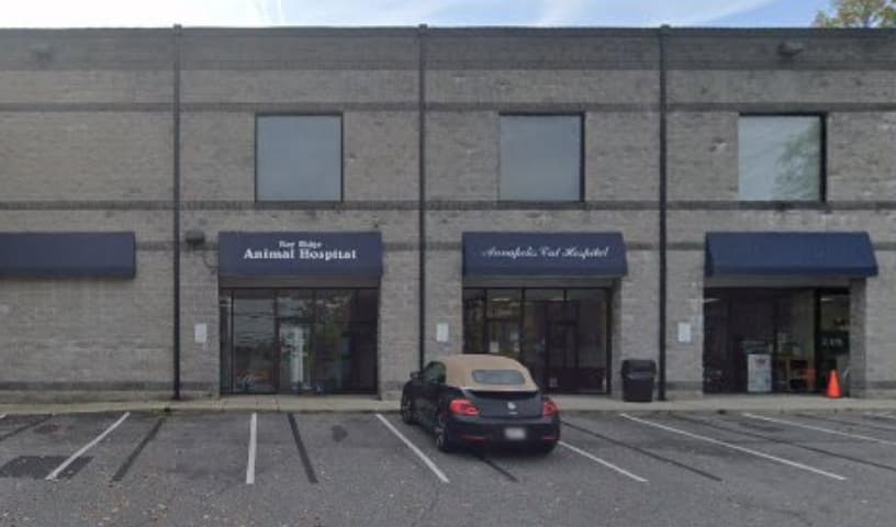 Annapolis Cat Hospital