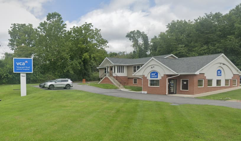 Telegraph Road Animal Hospital