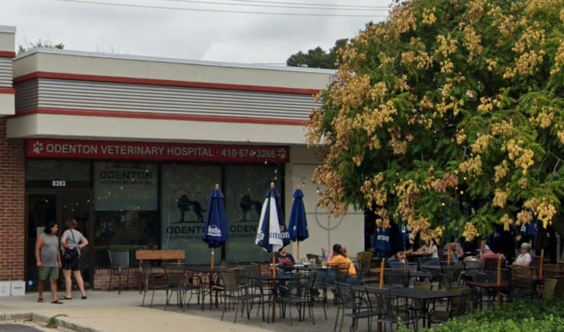 Odenton Veterinary Hospital