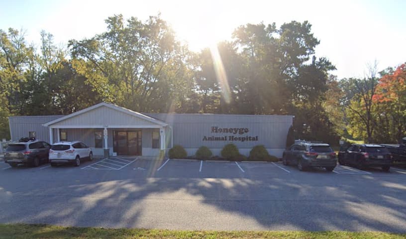 Honeygo Animal Hospital