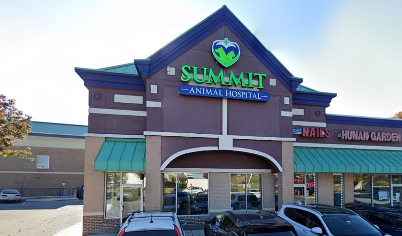 Summit Animal Hospital