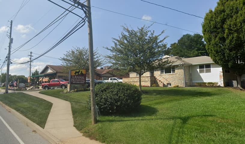 Mt Airy Animal Hospital