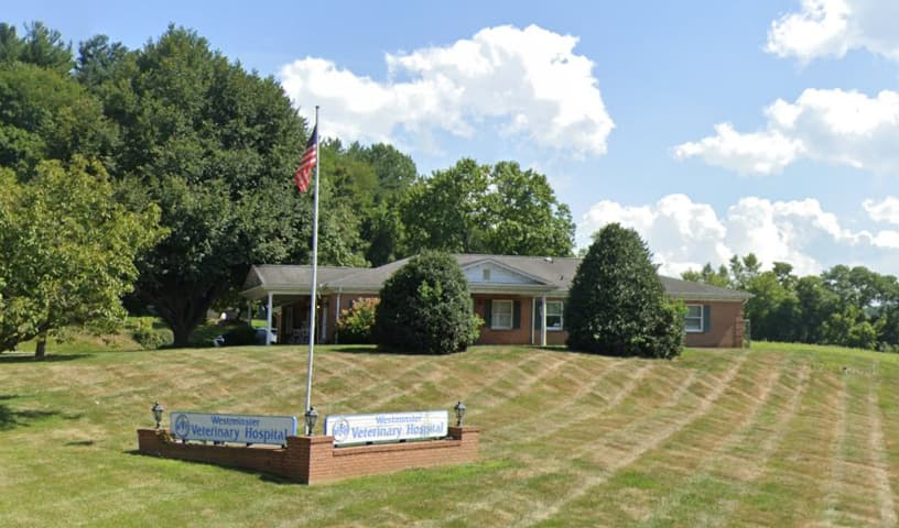 Westminster Veterinary Hospital