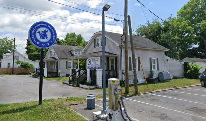 Forestville Veterinary & Bird Hospital