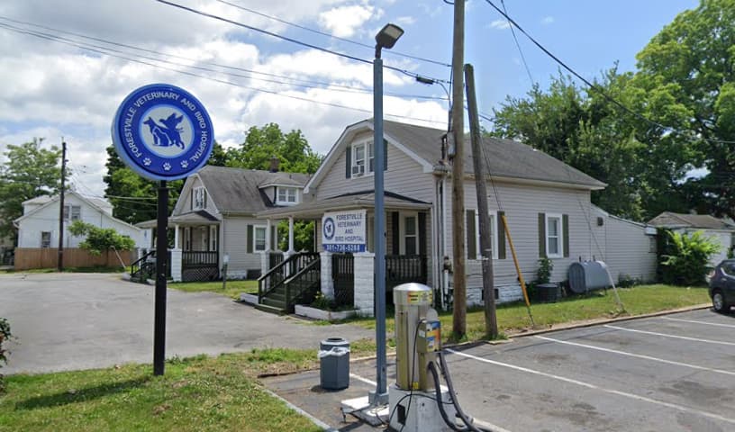 Forestville Animal Hospital