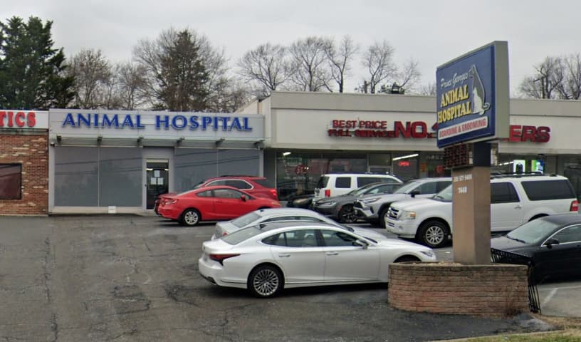 Prince George's Animal Hospital