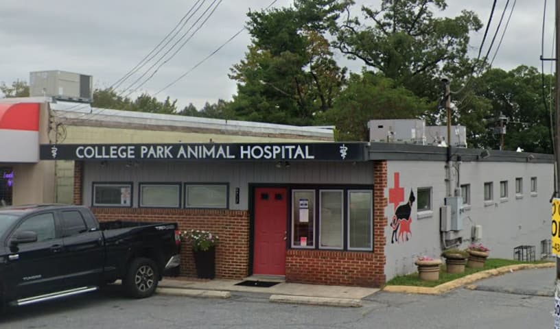 College Park Animal Hospital