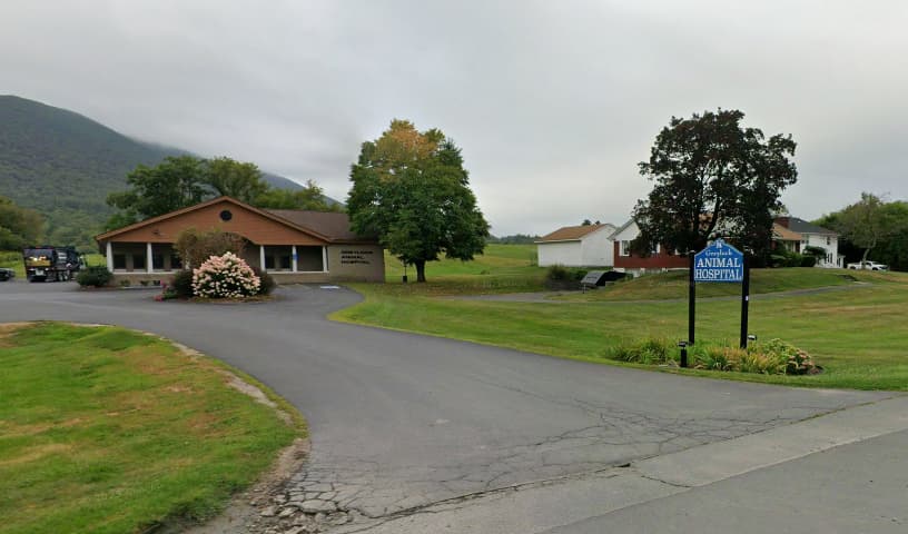 Grey Lock Animal Hospital