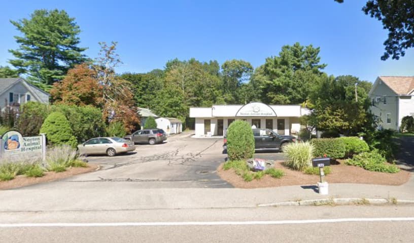 Norton Animal Hospital