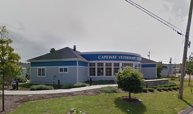 Capeway Veterinary Hospital
