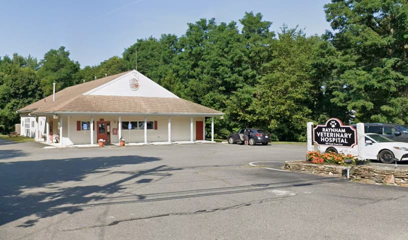 Raynham Veterinary Hospital