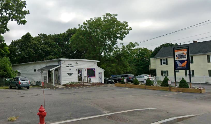 Wessels Animal Hospital
