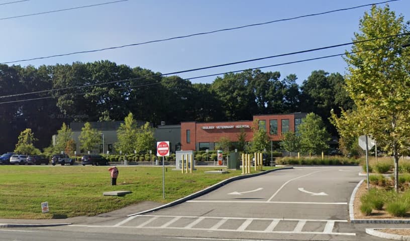 Bulger Veterinary Hospital