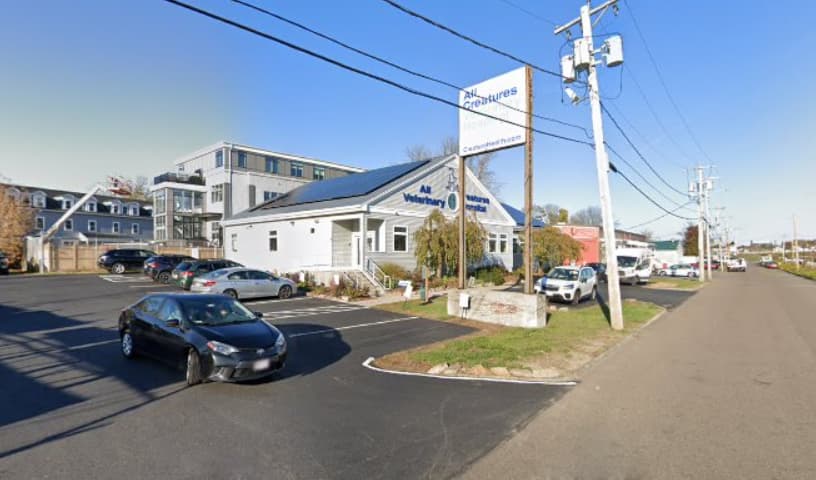 All Creatures Veterinary Hospital