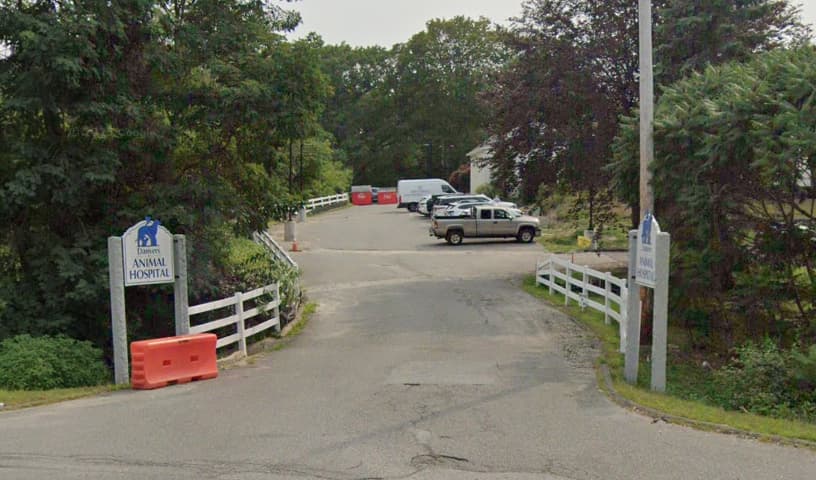 Danvers Animal Hospital