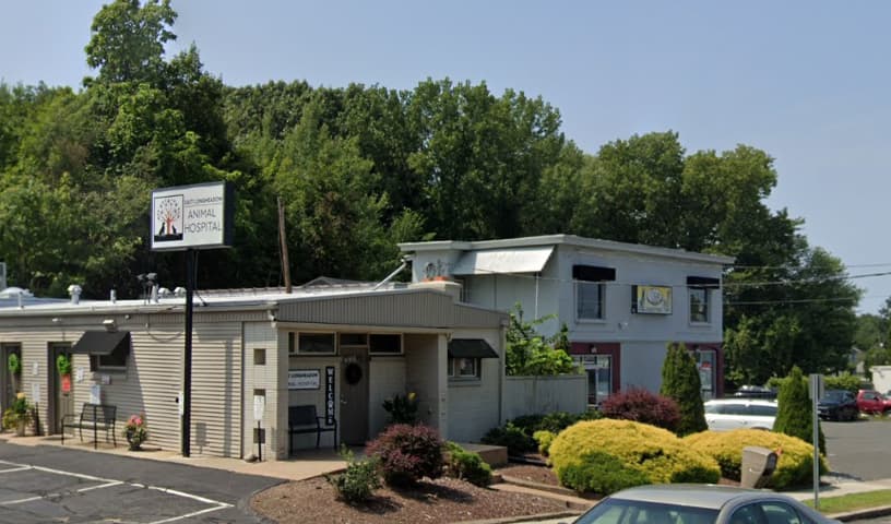 East Longmeadow Animal Hospital