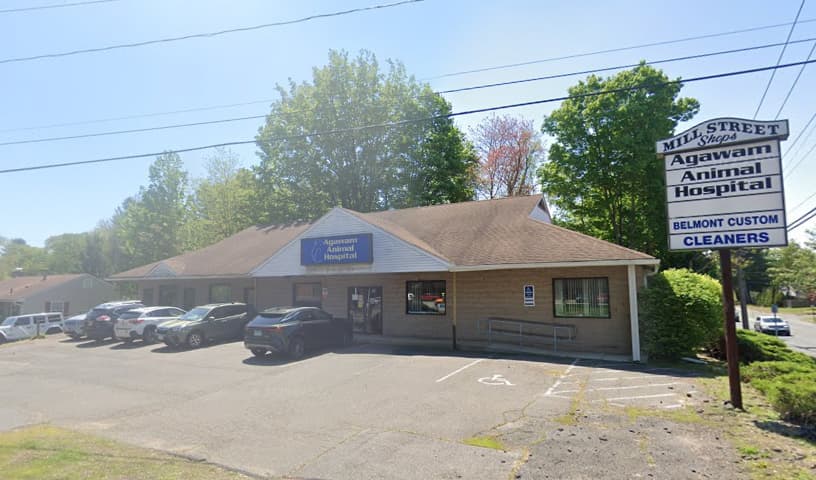 Agawam Animal Hospital