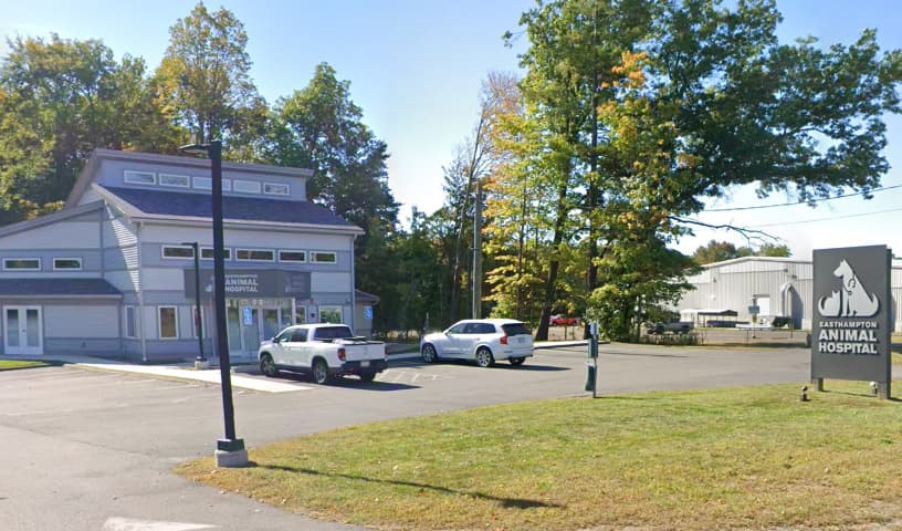 Easthampton Animal Hospital