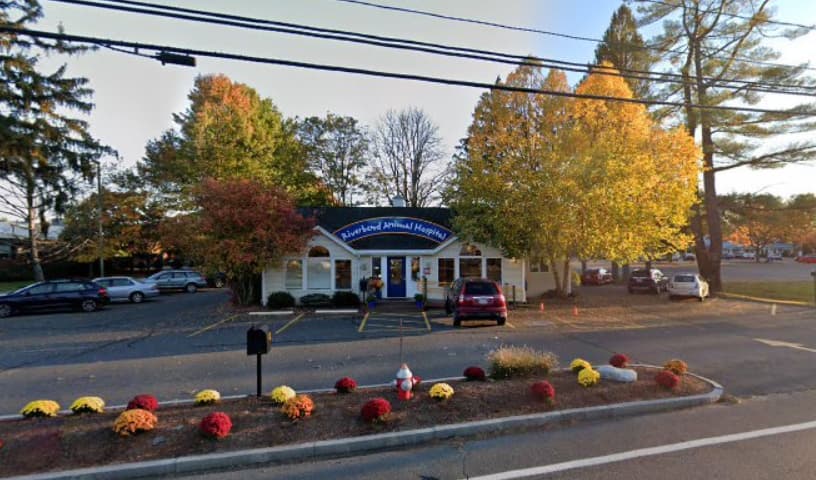 Riverbend Animal Hospital
