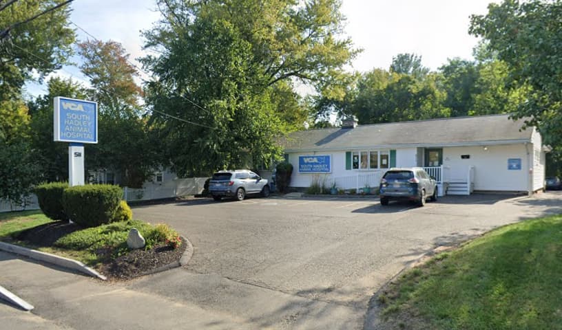 VCA South Hadley Animal Hospital