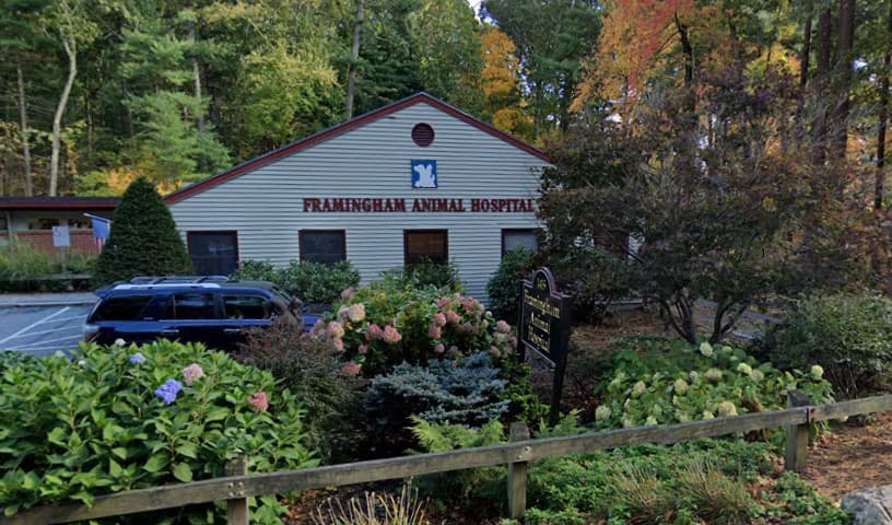 Framingham Animal Hospital
